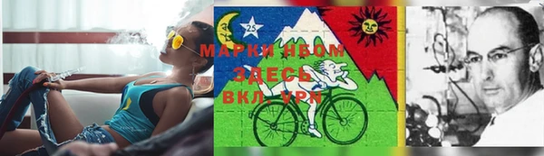 PSILOCYBIN Нефтегорск