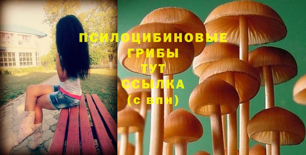 прущая мука Алзамай