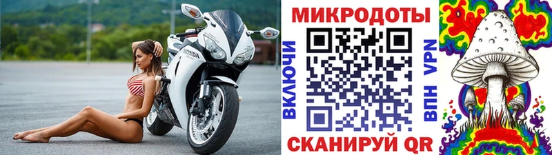 Псилоцибиновые грибы мицелий hydra tor Киров