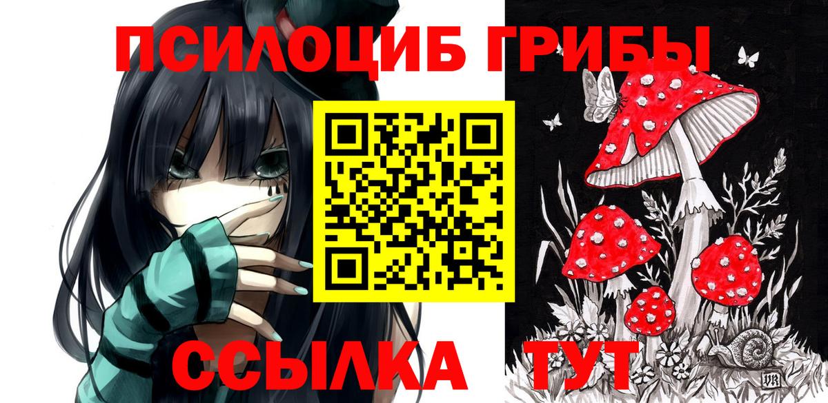 Галлюциногенные грибы GOLDEN TEACHER  Вход с VPN  Киров  Галлюциногенные грибы ЛСД 