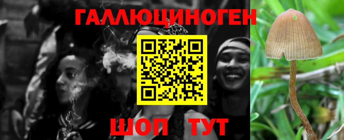 Псилоцибиновые грибы Magic Shrooms Киров